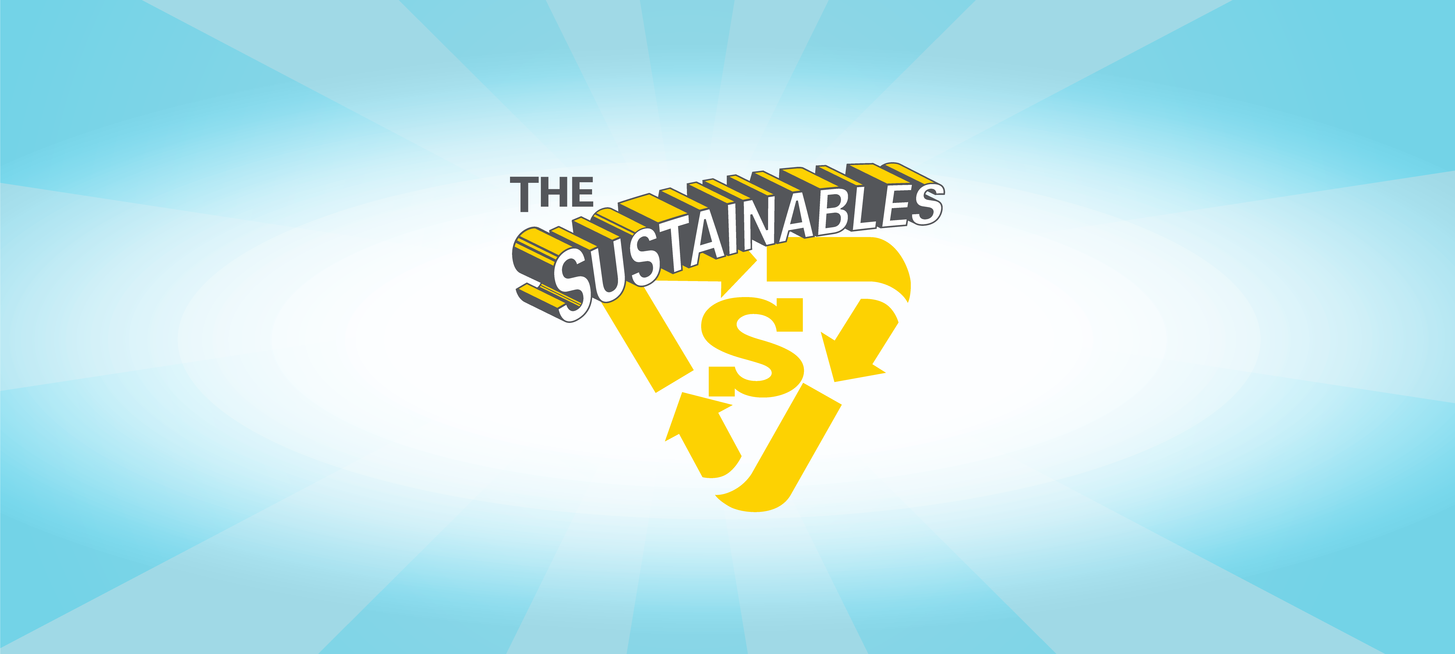 The Winding Path to Sustainable Aviation